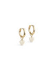 Amore Oorbellen Goud (set van 2) | daisy