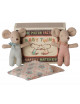 Baby Tweeling Muisjes in Luciferdoosje