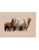 Set Kerstkaarten (5 stuks) | iiiiit's the season to be jolly, falalalaalama