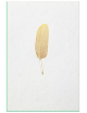 Greeting Card | Feather