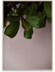 Poster Green Leaves - 30x40cm