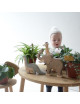 Houten Speelgoed | Leeuwin