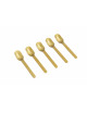 Everyday Lepel (set van 5) | goud