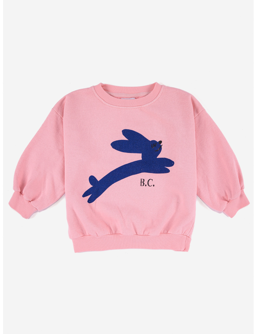 Sweatshirt | jumping hare
