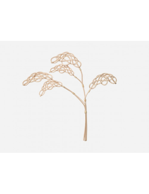 Bonsai Geurboompje | cloud