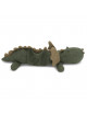 Activity Toy Harmonica | dragon