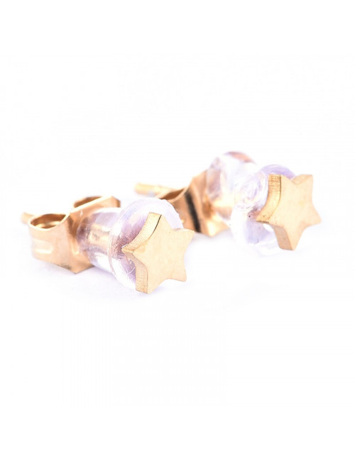 Oorbellen Stud (set van 2) Goud | ster