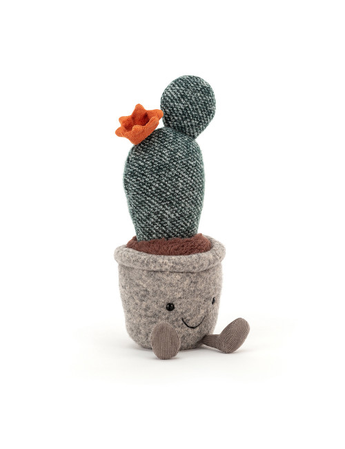 Cuddle Silly Succulent | prickly pear cactus