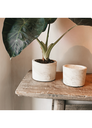 Urban Candle Ecru Small