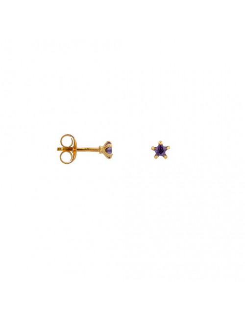 Oorbel Purple Star Stud | goud
