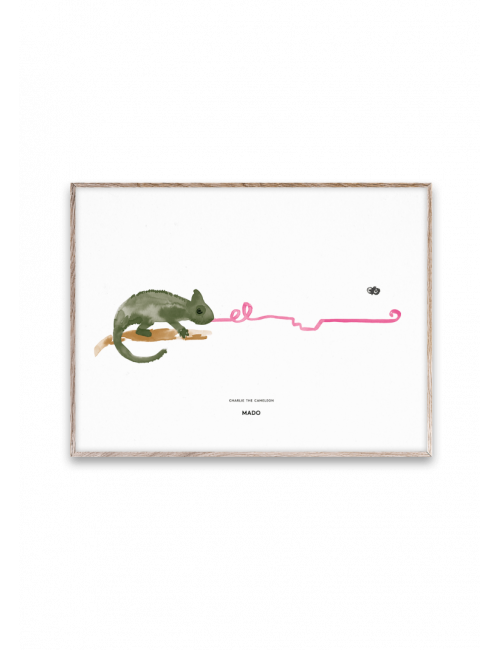 Poster Charlie the Chameleon - 30x40 cm