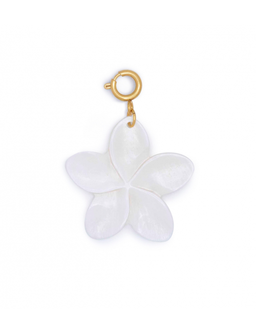 Bedel Shell Flower