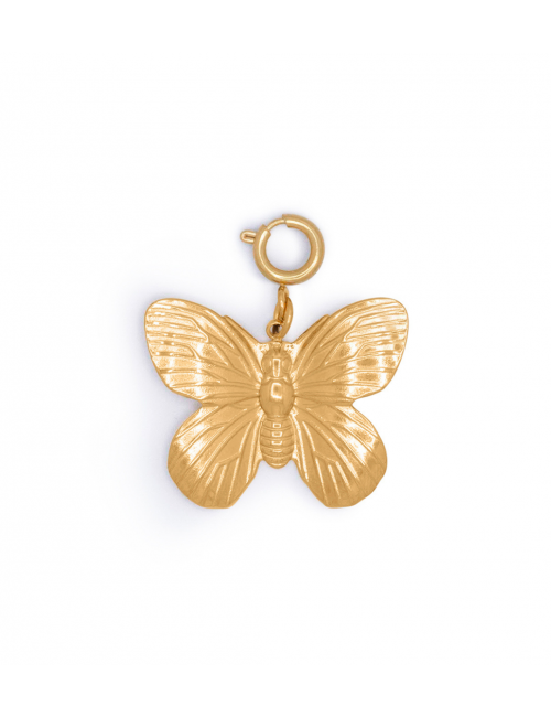 Bedel Golden Butterfly
