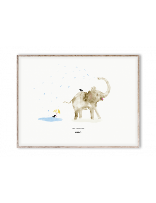 Poster Ellie the Elephant - 30x40 cm