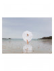 Poster Social Distance | 30X40cm