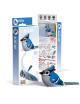 3D Vogel | blauwe gaai