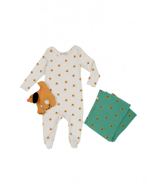 Baby Gift Set | fairy dog