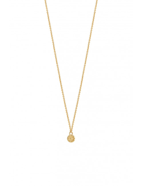 Halsketting Compass | goud