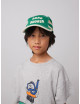 Pet | green stripes