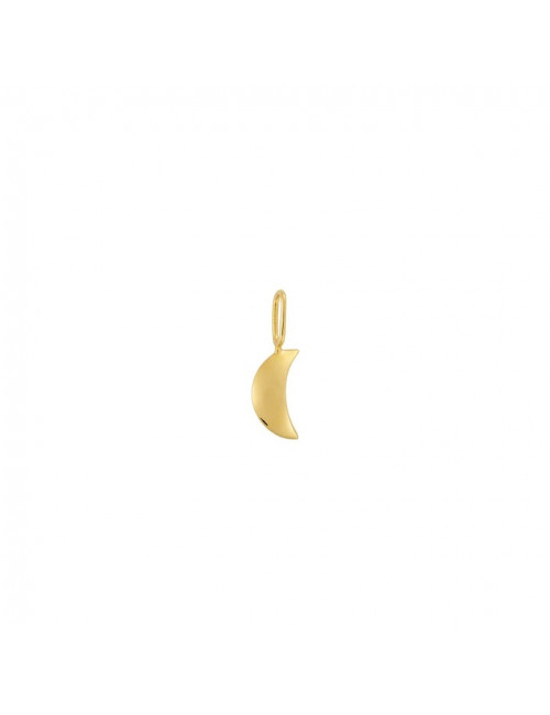 Gouden Bedeltje | maan
