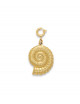 Bedel Twisted Shell