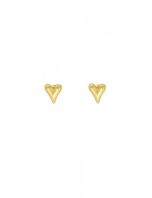 oorbellen hartje goud