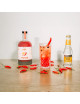 N'Sane x Sofie Dumont 500ml | cranberry/chipotle