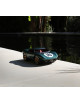 Speelauto Ken Rodgers