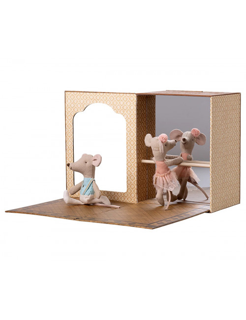 Ballet Dansstudio Muis | kleine zus en broer