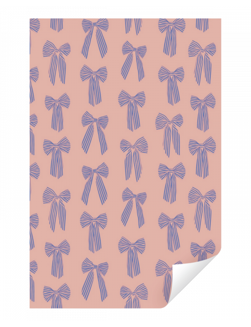 Inpakpapier Big Bow | litchi/cornflower