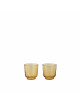 Glas Raise (set van 2) | burnt orange