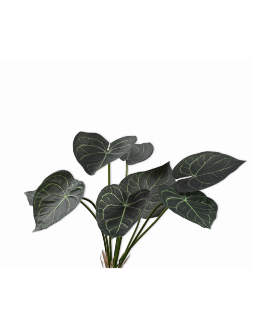 Anthurium Bush 62cm | groen