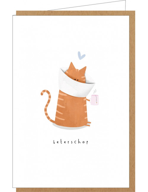 Wenskaart nr. 132 | beterschap