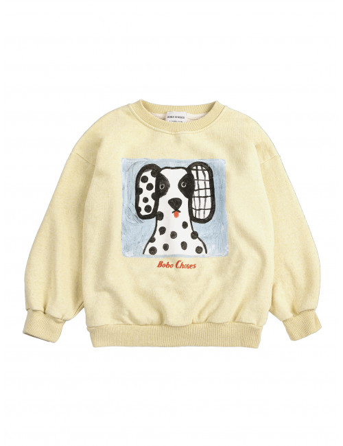 Sweatshirt | Van Dog