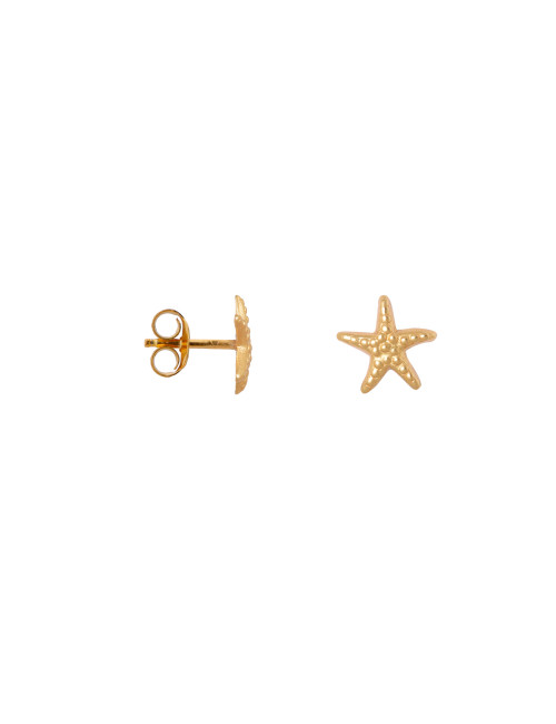 3.0 Mini Sea Star Oorbel Stud | goud