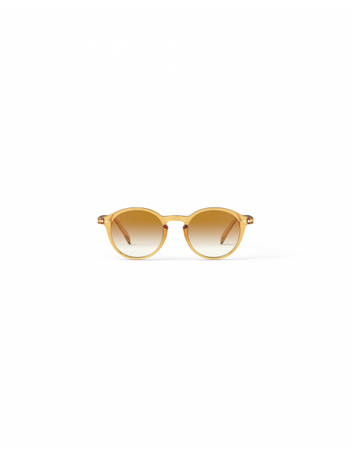 Zonnebril D Adult | golden canyon polarized
