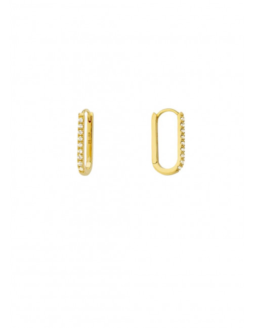 Shiny Jazzy Oorbellen | goud