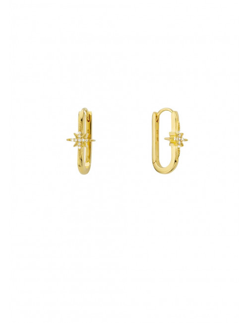 Diwali Jazzy Oorbellen | goud