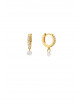 Crystal Delhi Oorbellen | goud