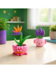 Hey Clay Plant Folks | 15 potjes