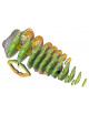 3D Puzzel Dier | kameleon