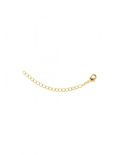 Verlengstukje 5cm | goud