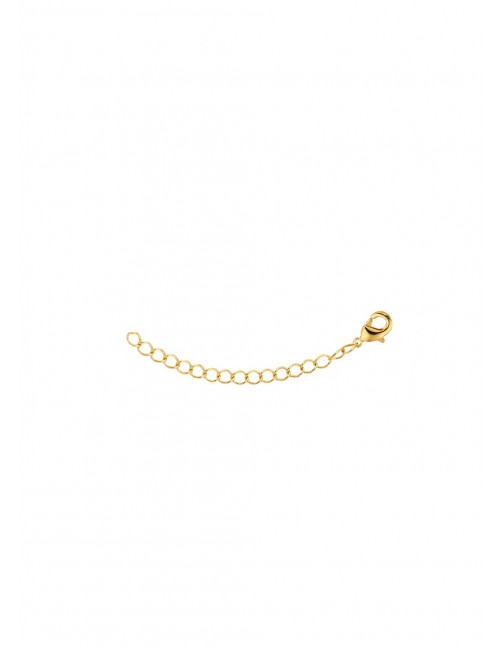 Verlengstukje 6cm | goud